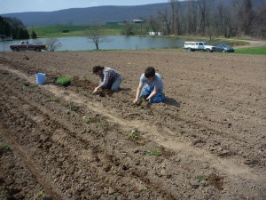 judi and mike, planting by the pond